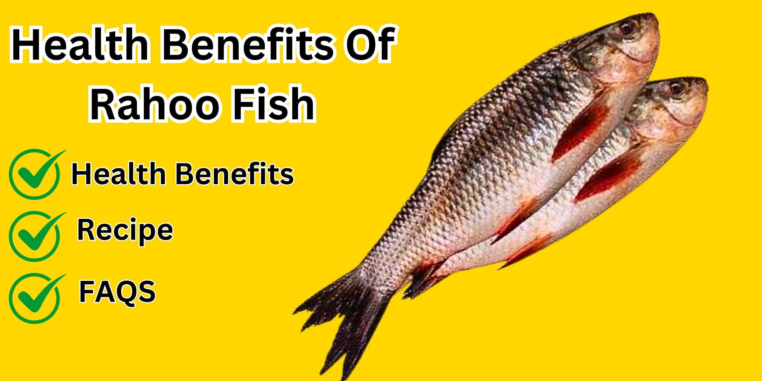 Health Benefits of Rahu Fish 2024
